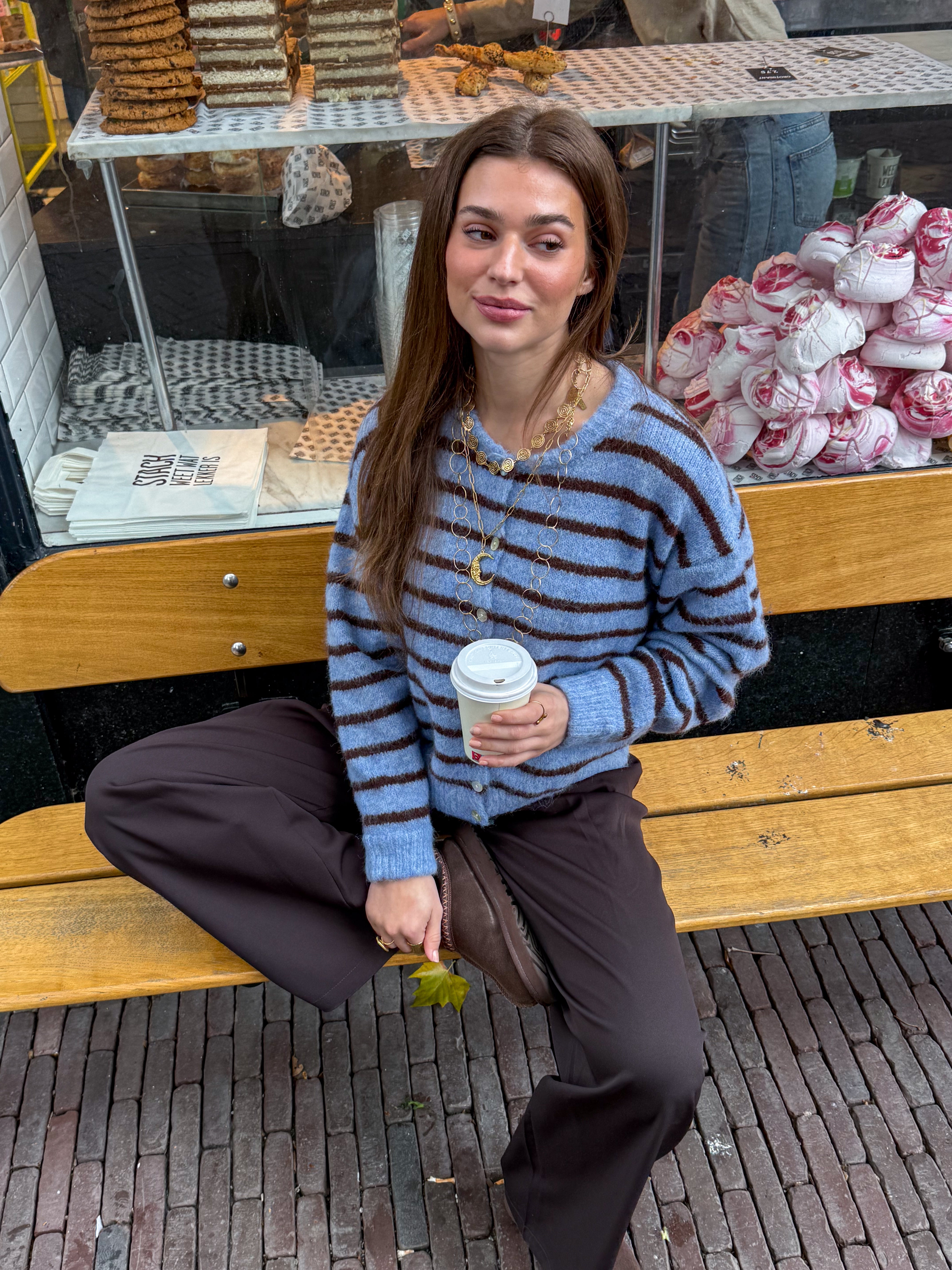 Aurora Vest Stripe Blue/Brown