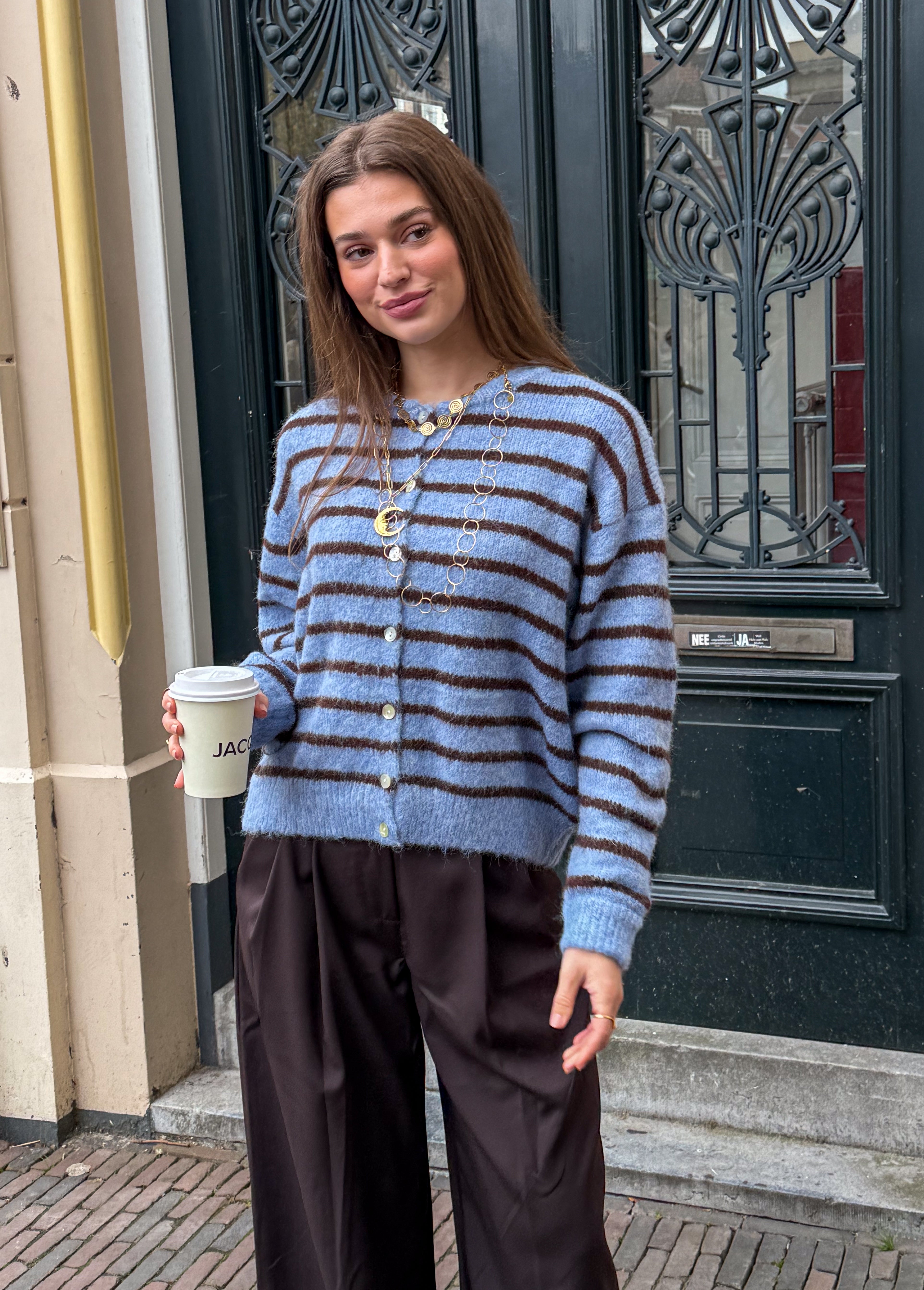 Aurora Vest Stripe Blue/Brown