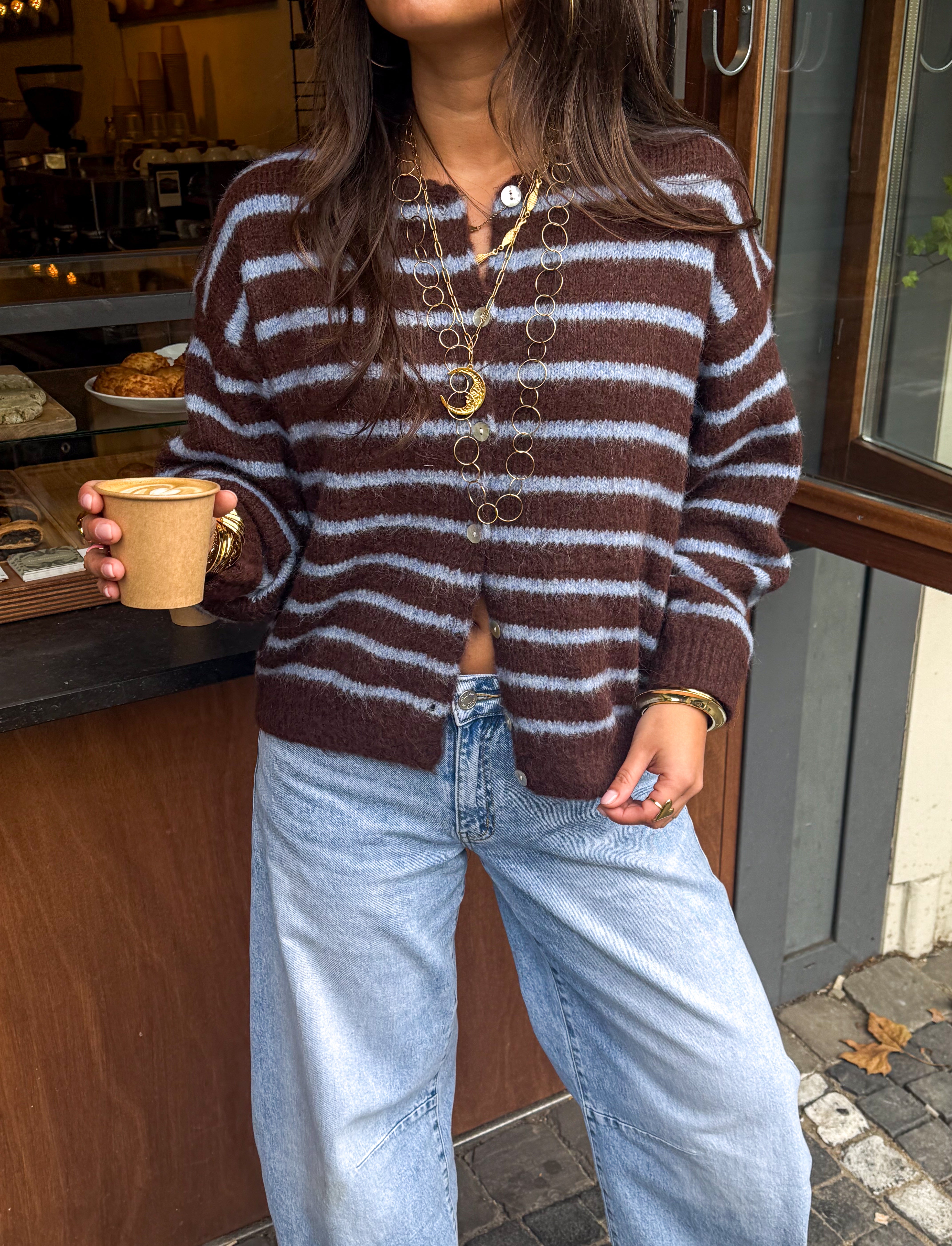 Aurora Vest Stripe Brown/Blue