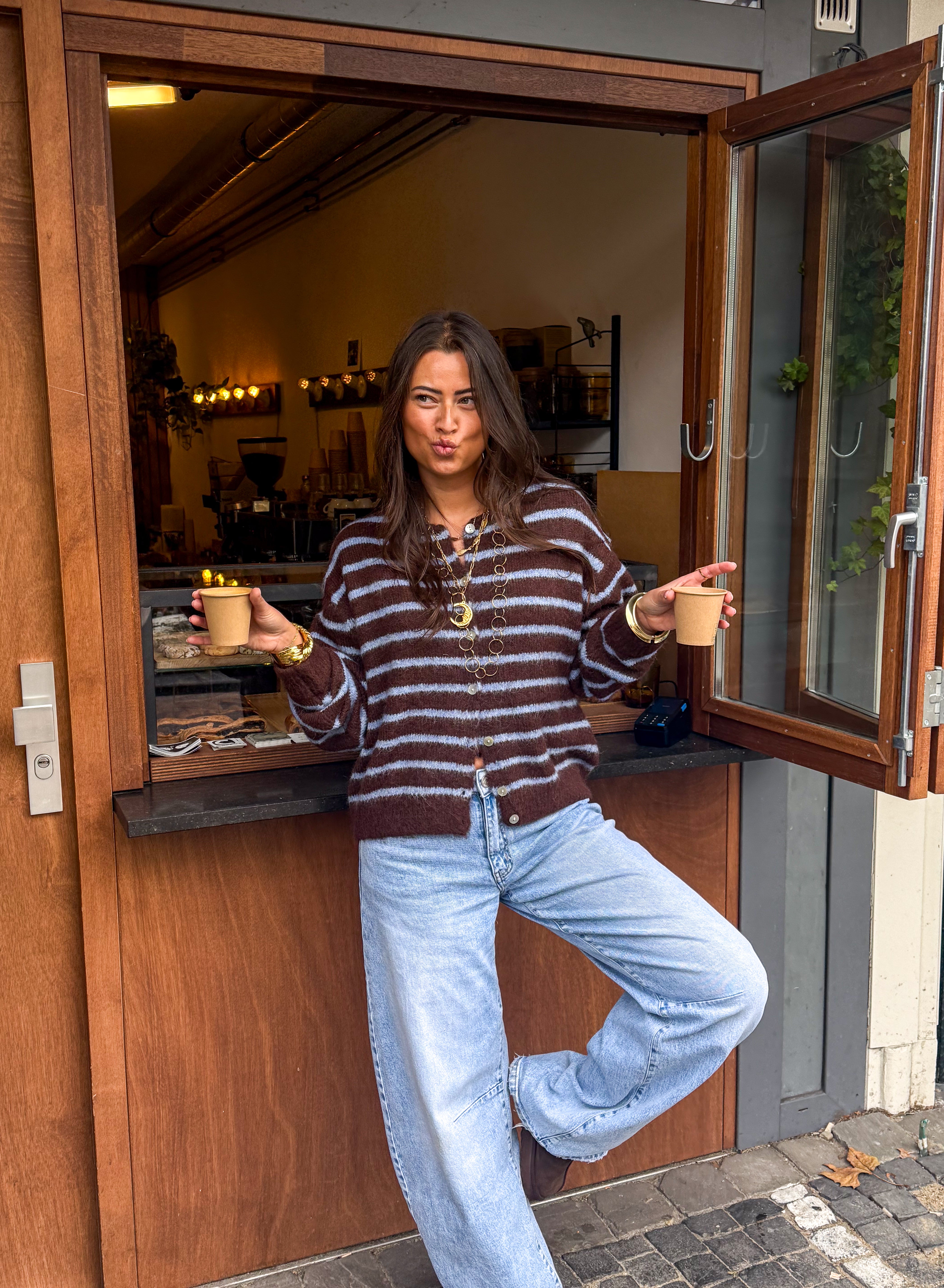 Aurora Vest Stripe Brown/Blue