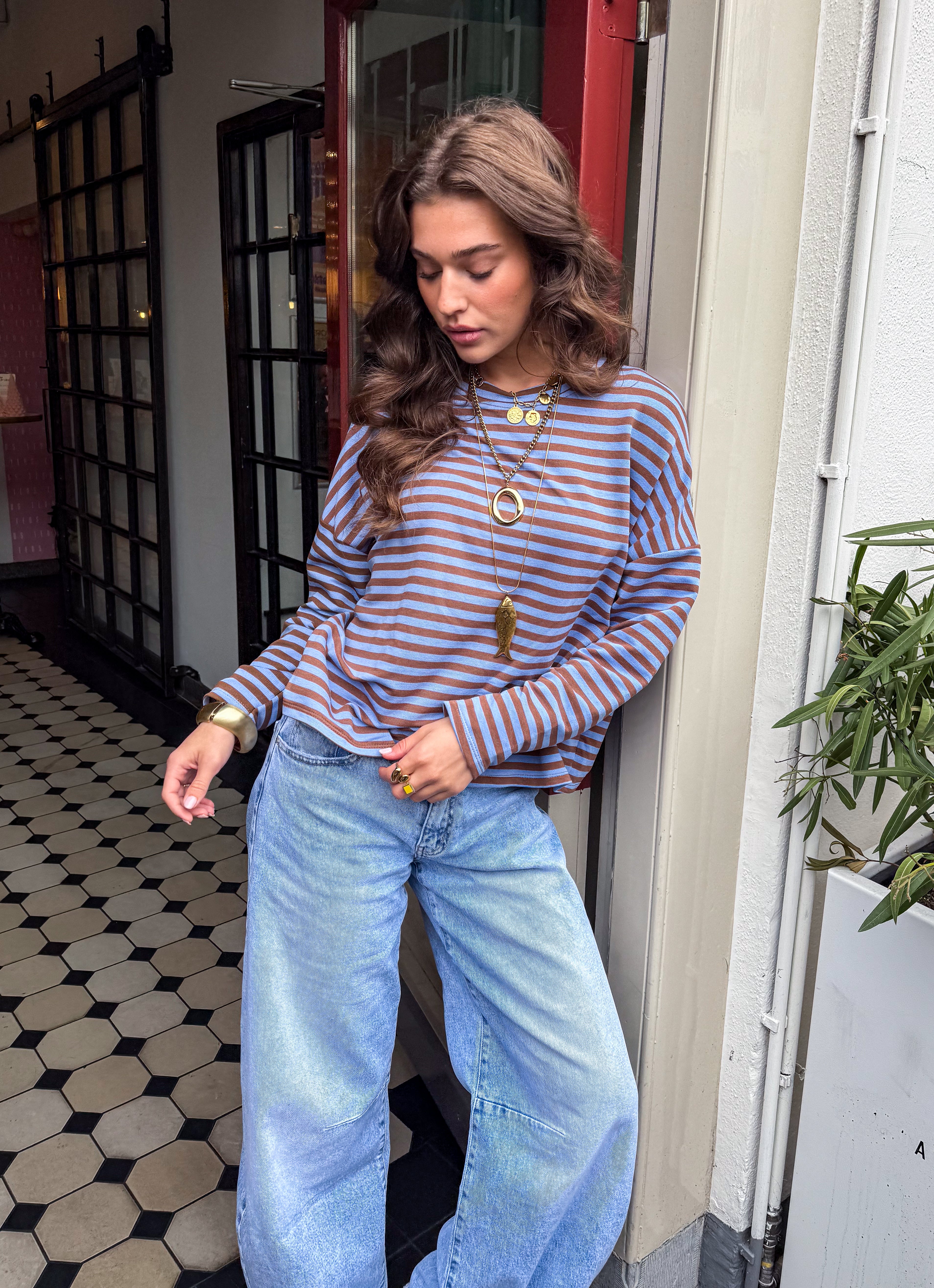 Mave Striped Top Brown Blue