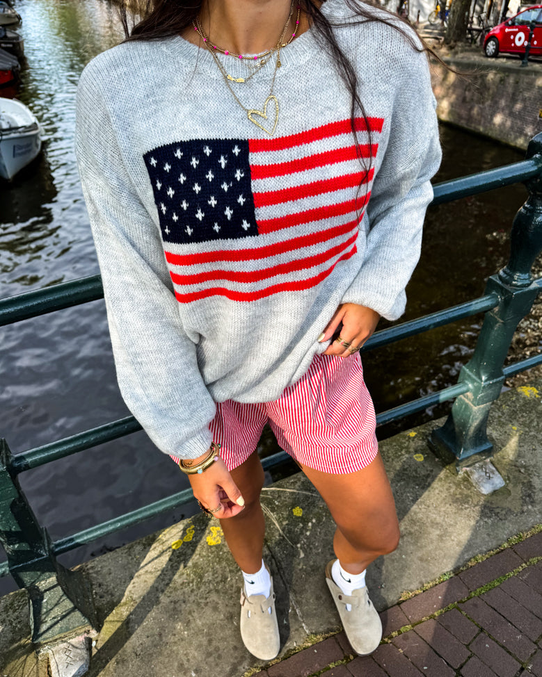 American Flag Sweater Grey