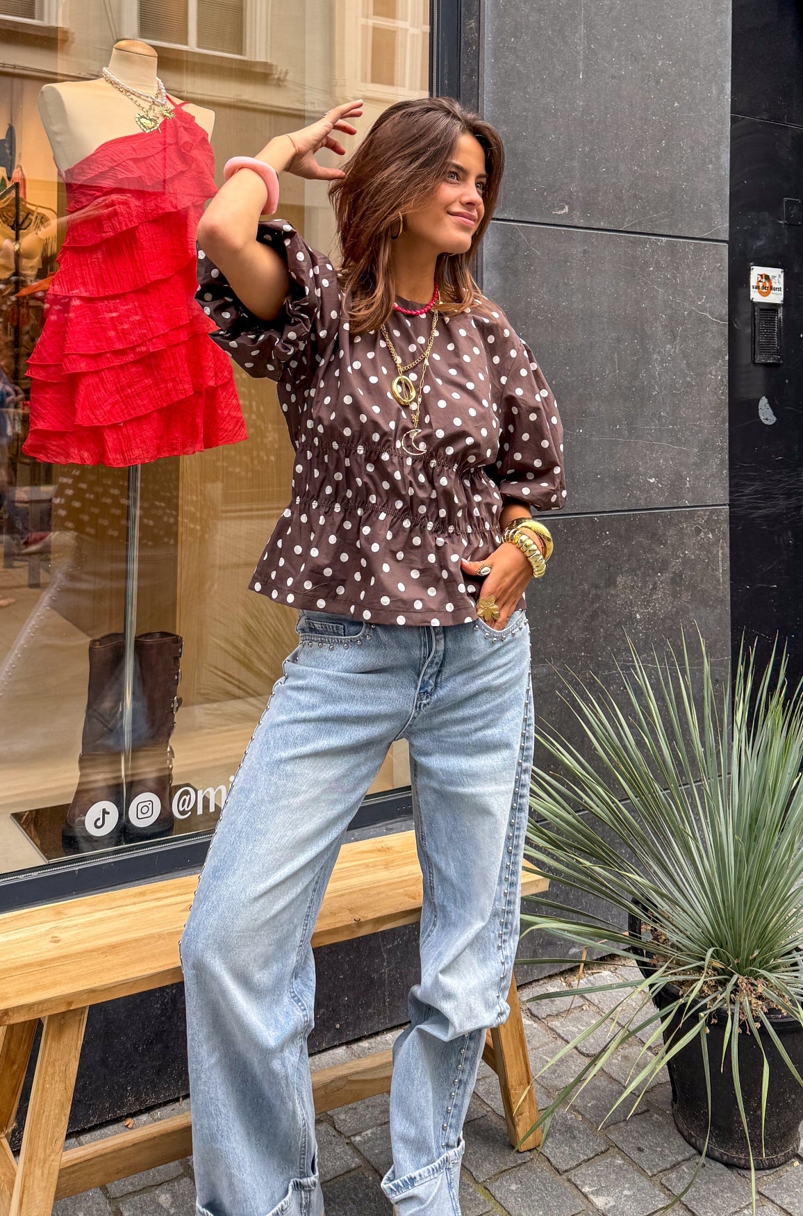 Blush Stippen Top | Brown