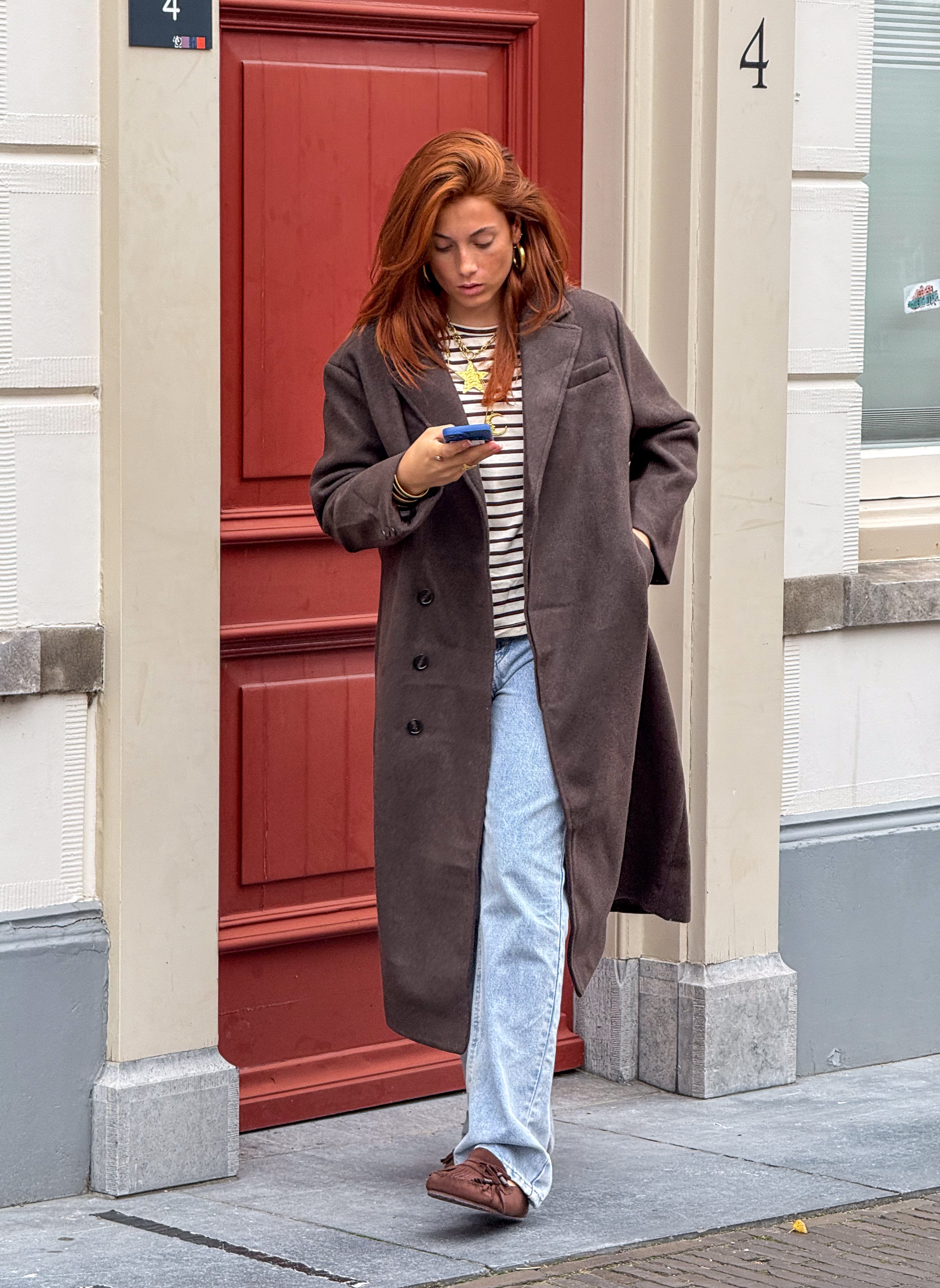 Chestnut Coat
