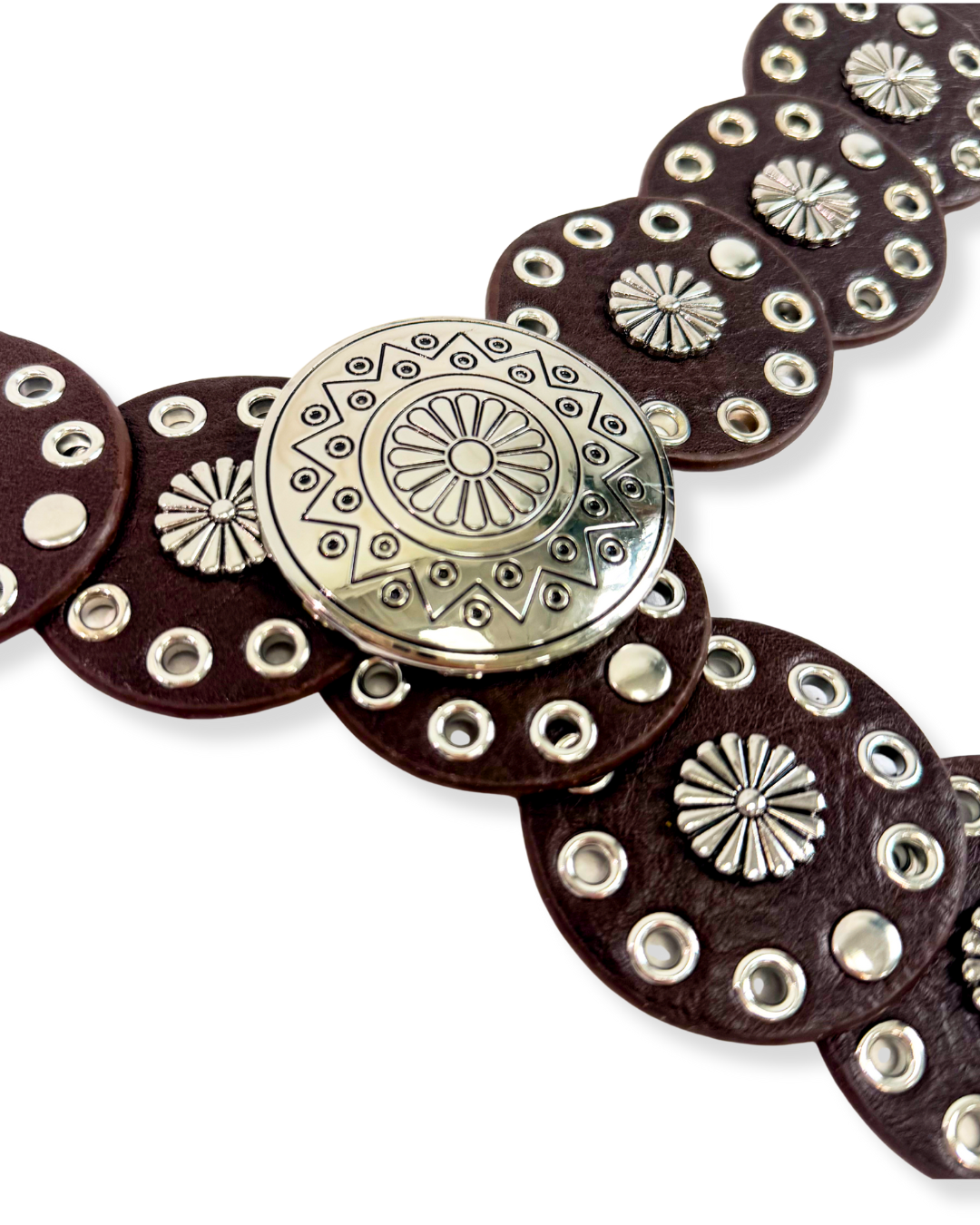 Western Belt Brown