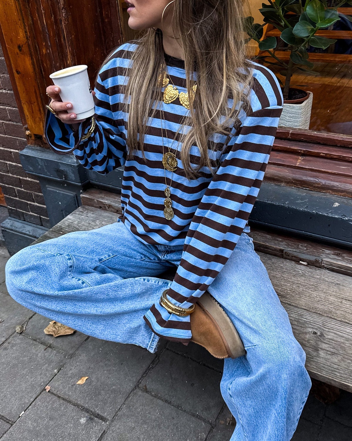 Crowded Gestreepte Longsleeve | Brown Blue